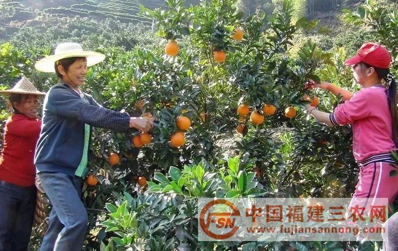 微信图片_20180525110515.jpg