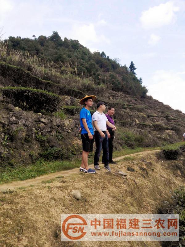 考察农业发展项目地块2.jpg