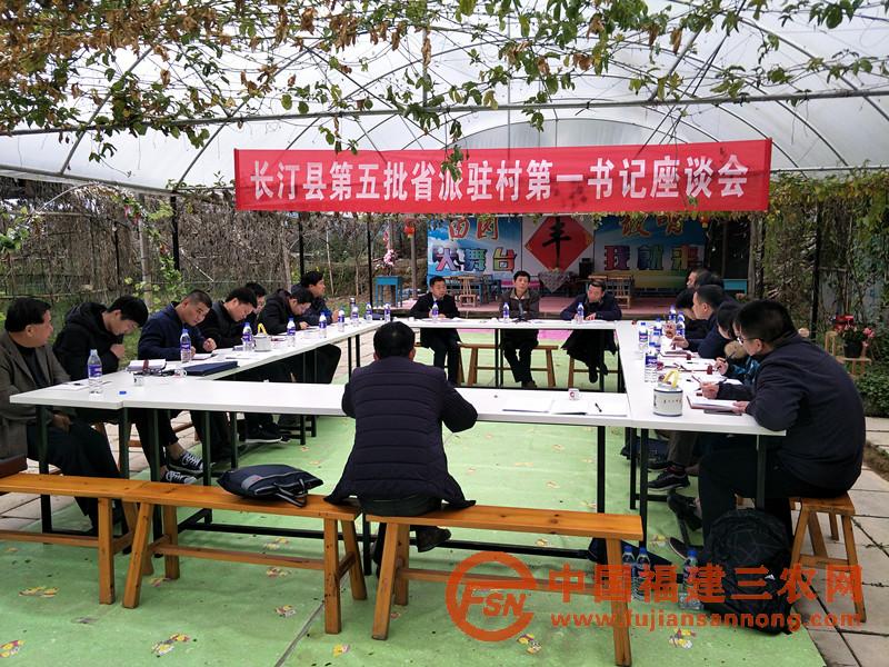 长汀县第五批省派驻村第一书记座谈会2.jpg