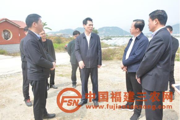 省农业农村厅黄华康厅长赴莆调研春季农业生产工作117.png