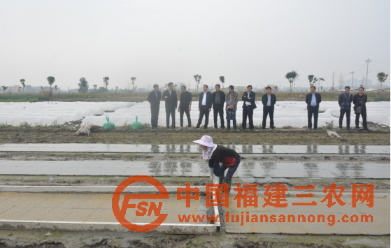 省农业农村厅黄华康厅长赴莆调研春季农业生产工作429.png