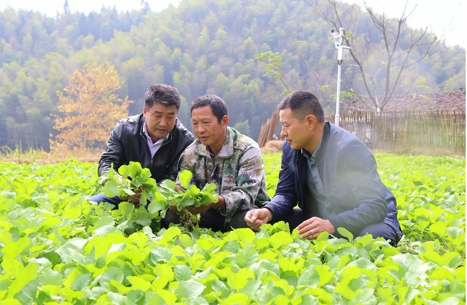 微信图片_20200325101601.png
