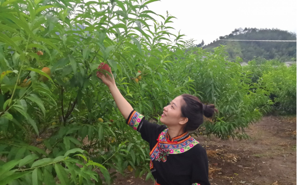 微信图片_20201010094208.png