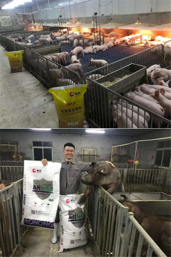 图片43.png