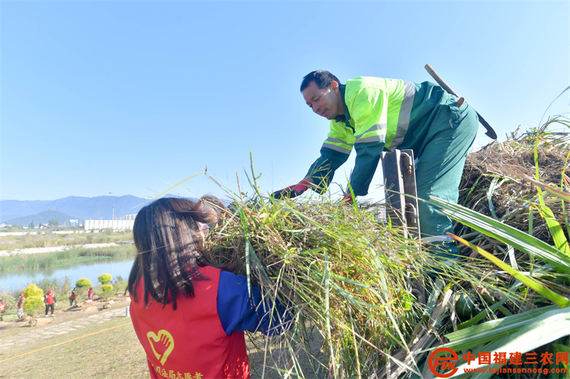  11月14日，罗源县组织开展2021年“全民护河 爱我罗川”系列活动之松山镇小获溪护河活动。（ 刘其燚 摄） (6).jpg