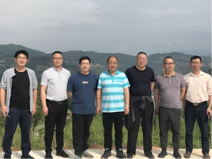 稿5：福建闽清：“绿肥+”梅溪橄榄“蓄”生态973.png