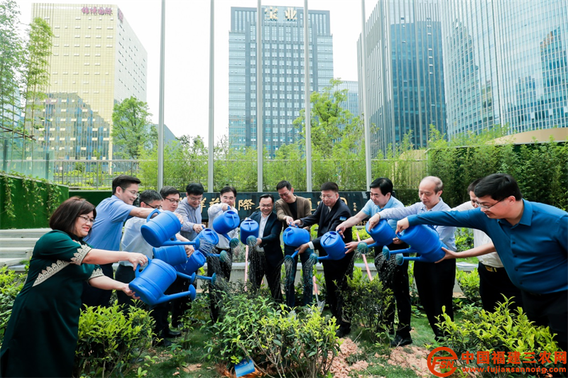 嘉宾共同种植茶树并浇水.png