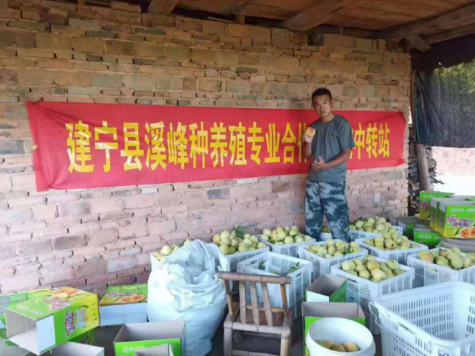 40.董家辉：“三句话”做实致富路子905.png