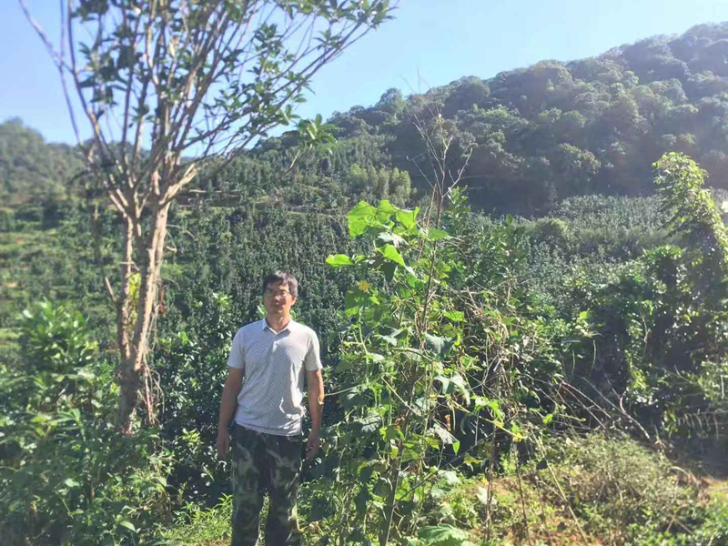 新罗卢中海_副本.jpg