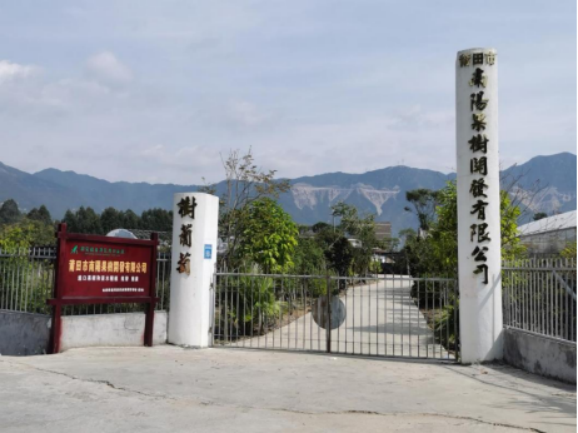 仙游后坂544.png