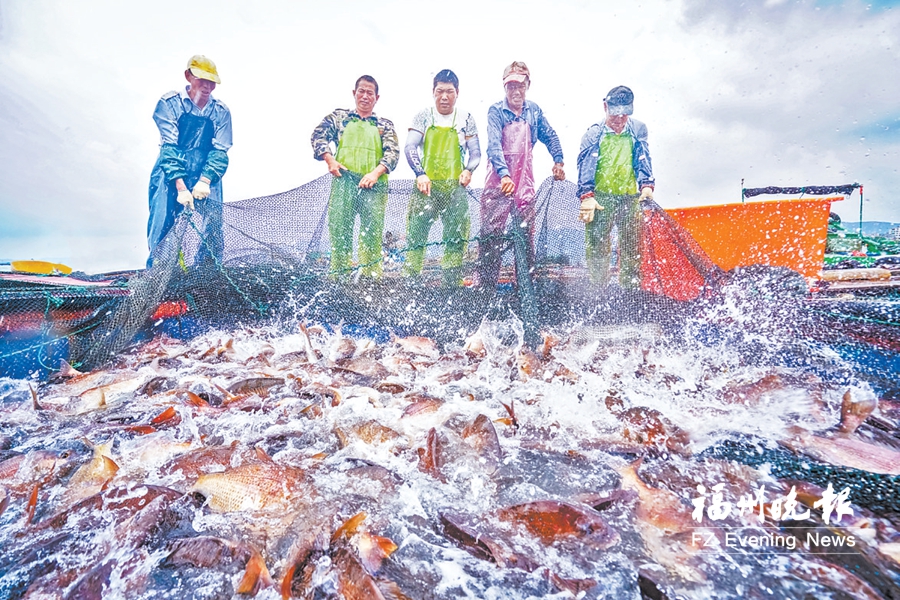 连江：潮涌温麻古邑 经略海洋高地