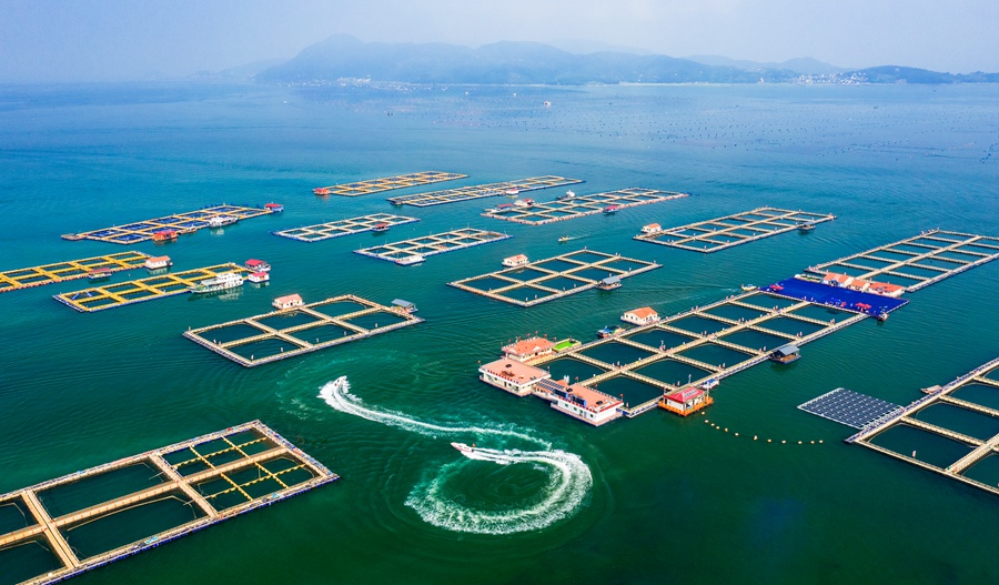 《海上新田园》。柳明格摄