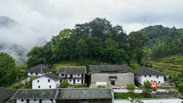 第二批福建最美古树遴选结果揭晓 福州两个古树群上榜