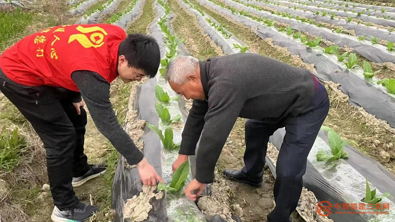 图片3.png