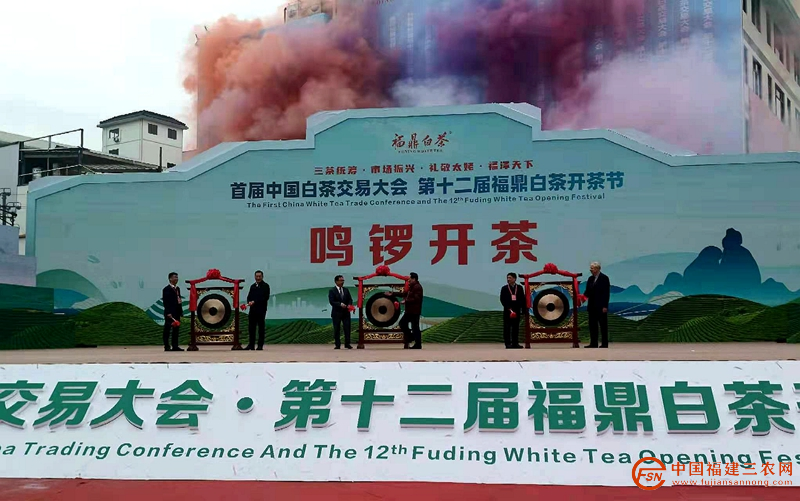 图片6_副本.png