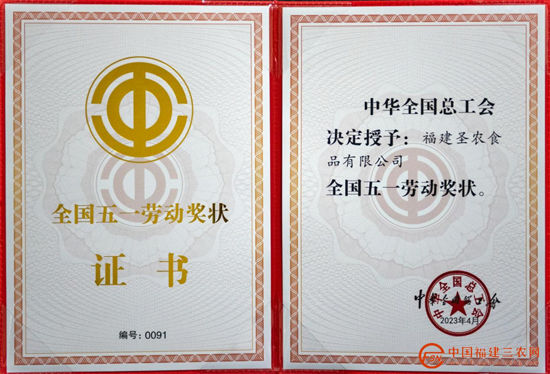 图片9_副本.png