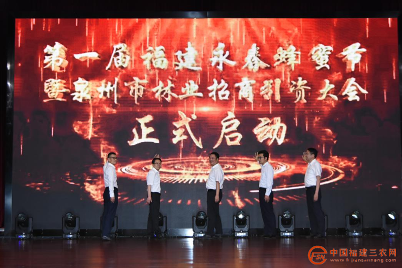图片1_副本.png