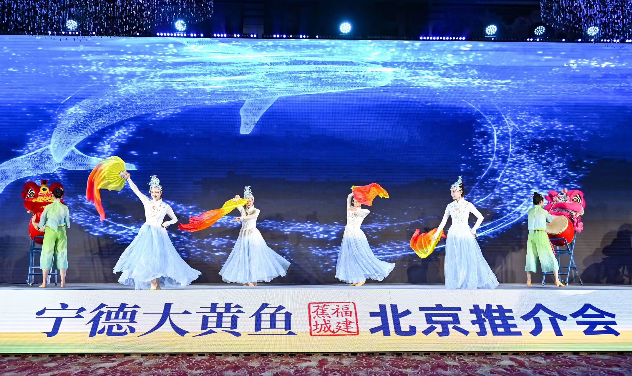 活动现场。主办方供图