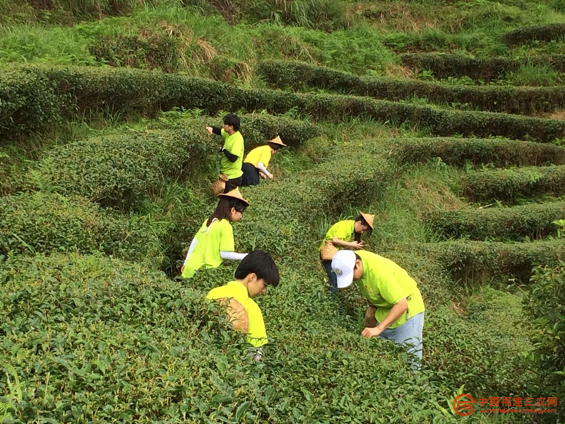 图片13_副本.png