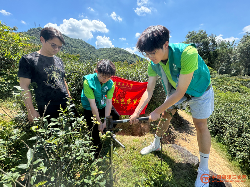 图片8_副本.png