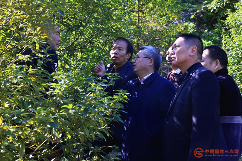 图片6.png