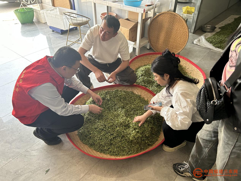 图片5.png