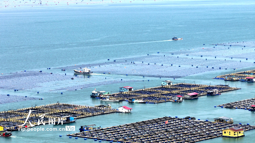 福建宁德：海上粮仓【5】