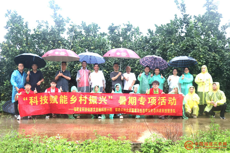 图片23.png